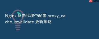Nginx 反向代理中配置 proxy_cache_revalidate 更新策略