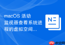 macOS 活动监视器查看系统进程的虚拟空间分配