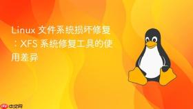 Linux 文件系统损坏修复：XFS 系统修复工具的使用差异