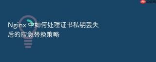 nginx 中如何处理证书私钥丢失后的应急替换策略