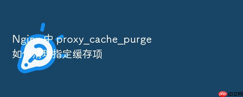 nginx 中 proxy_cache_purge 如何清理指定缓存项