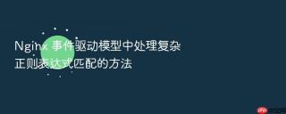 nginx 事件驱动模型中处理复杂正则表达式匹配的方法