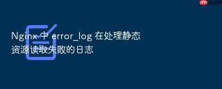 nginx 中 error_log 在处理静态资源读取失败的日志