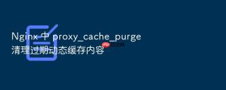nginx 中 proxy_cache_purge 清理过期动态缓存内容
