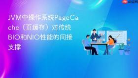 jvm中操作系统pagecache(页缓存)对传统bio和nio性能的间接支撑