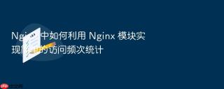 Nginx 中如何利用 Nginx 模块实现简单的访问频次统计