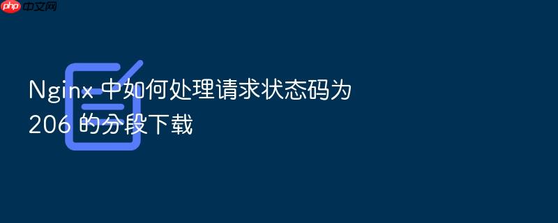 nginx 中如何处理请求状态码为 206 的分段下载