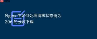 nginx 中如何处理请求状态码为 206 的分段下载