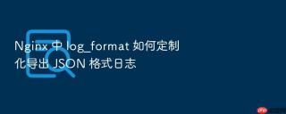 nginx 中 log_format 如何定制化导出 json 格式日志