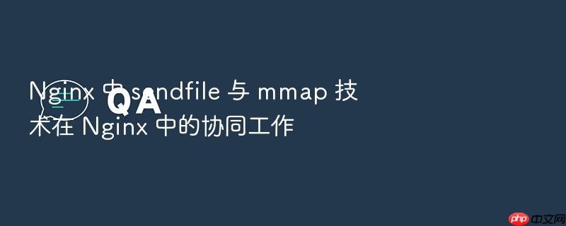 nginx 中 sendfile 与 mmap 技术在 nginx 中的协同工作