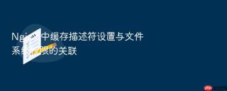 nginx 中缓存描述符设置与文件系统权限的关联