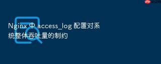 Nginx 中 access_log 配置对系统整体吞吐量的制约