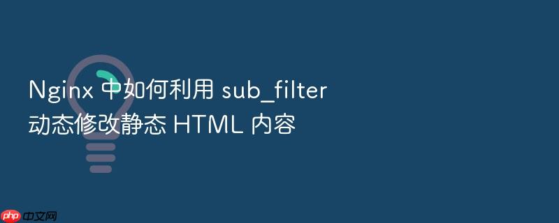 nginx 中如何利用 sub_filter 动态修改静态 html 内容