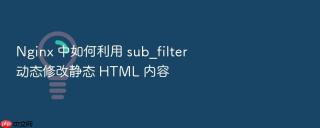 nginx 中如何利用 sub_filter 动态修改静态 html 内容