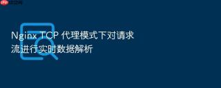 nginx tcp 代理模式下对请求流进行实时数据解析