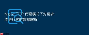 Nginx TCP 代理模式下对请求流进行实时数据解析