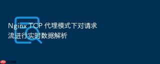 Nginx TCP 代理模式下对请求流进行实时数据解析