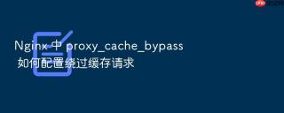 nginx 中 proxy_cache_bypass 如何配置绕过缓存请求