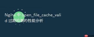 Nginx 中 open_file_cache_valid 过期检测的性能分析