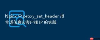 nginx 中 proxy_set_header 指令透传真实客户端 ip 的实践