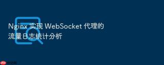 nginx 实现 websocket 代理的流量日志统计分析