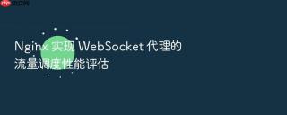 nginx 实现 websocket 代理的流量调度性能评估