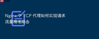 nginx 中 tcp 代理如何实现请求流量精准路由