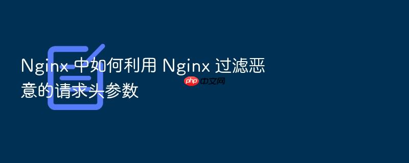 nginx 中如何利用 nginx 过滤恶意的请求头参数