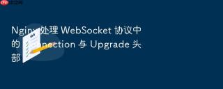 Nginx 处理 WebSocket 协议中的 Connection 与 Upgrade 头部
