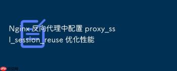Nginx 反向代理中配置 proxy_ssl_session_reuse 优化性能