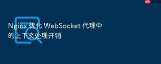 Nginx 优化 WebSocket 代理中的上下文处理开销