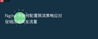 Nginx 中如何配置限流策略应对促销活动突发流量