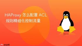 haproxy 怎么配置 acl 规则精细化控制流量