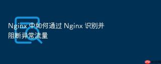 nginx 中如何通过 nginx 识别并阻断异常流量