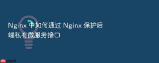 Nginx 中如何通过 Nginx 保护后端私有微服务接口