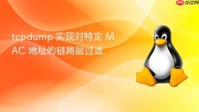 tcpdump 实现对特定 mac 地址的链路层过滤