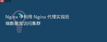 Nginx 中利用 Nginx 代理实现后端数据库访问集群