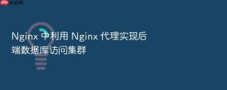 Nginx 中利用 Nginx 代理实现后端数据库访问集群