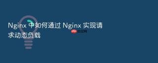 Nginx 中如何通过 Nginx 实现请求动态负载