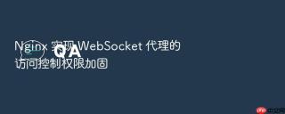 nginx 实现 websocket 代理的访问控制权限加固