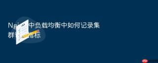 nginx 中负载均衡中如何记录集群访问指标
