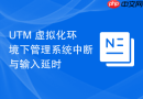UTM 虚拟化环境下管理系统中断与输入延时