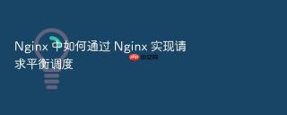 Nginx 中如何通过 Nginx 实现请求平衡调度