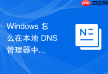 Windows 怎么在本地 DNS 管理器中开启详细的 debug 日志排查偶发性的域名解析超时