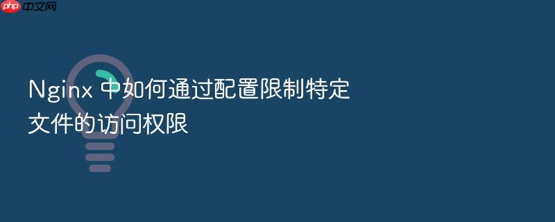 nginx 中如何通过配置限制特定文件的访问权限