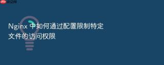 nginx 中如何通过配置限制特定文件的访问权限