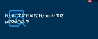 nginx 中如何通过 nginx 配置访问路径白名单