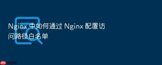 Nginx 中如何通过 Nginx 配置访问路径白名单