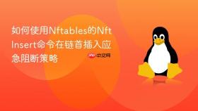 如何使用nftables的nft insert命令在链首插入应急阻断策略