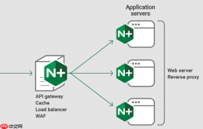 nginx 怎么配置基础的基于客户端语言的路由分发